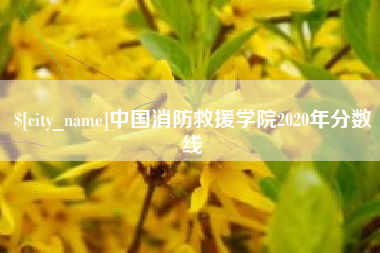 东莞中国消防救援学院2020年分数线