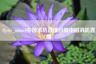 东莞中国消防直播回放中国消防直播