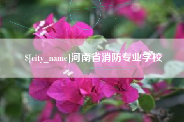 东莞河南省消防专业学校