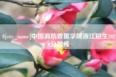东莞中国消防救援学院浙江招生2020分数线