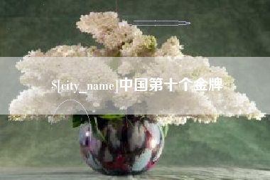 东莞中国第十个金牌