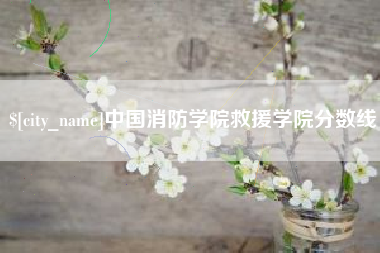 东莞中国消防学院救援学院分数线