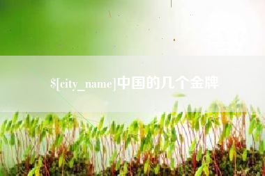 东莞中国的几个金牌