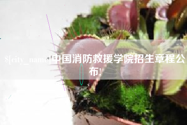 东莞中国消防救援学院招生章程公布!