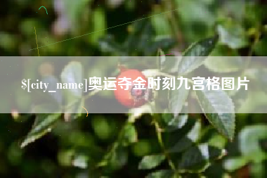 东莞奥运夺金时刻九宫格图片
