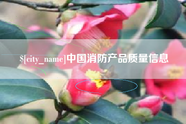 东莞中国消防产品质量信息