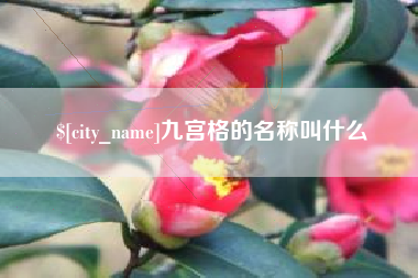东莞九宫格的名称叫什么