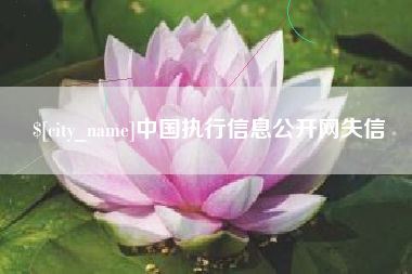 东莞中国执行信息公开网失信