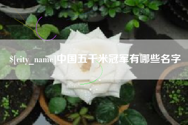 东莞中国五千米冠军有哪些名字