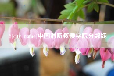 东莞中国消防救援学院分数线