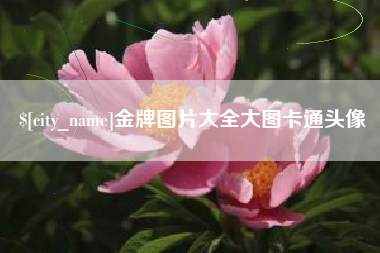 东莞金牌图片大全大图卡通头像