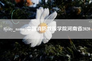 东莞中国消防救援学院河南省2020